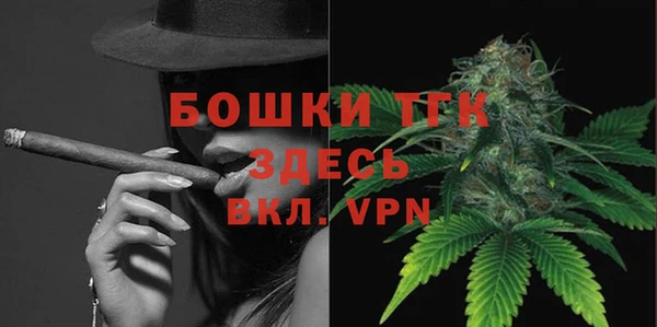 твердый Ладушкин