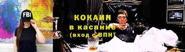 твердый Ладушкин