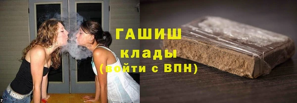 твердый Ладушкин