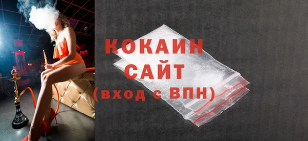 твердый Ладушкин