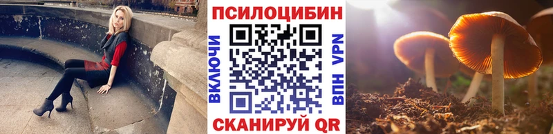 Галлюциногенные грибы Magic Shrooms  Купить закладки  Дивногорск 